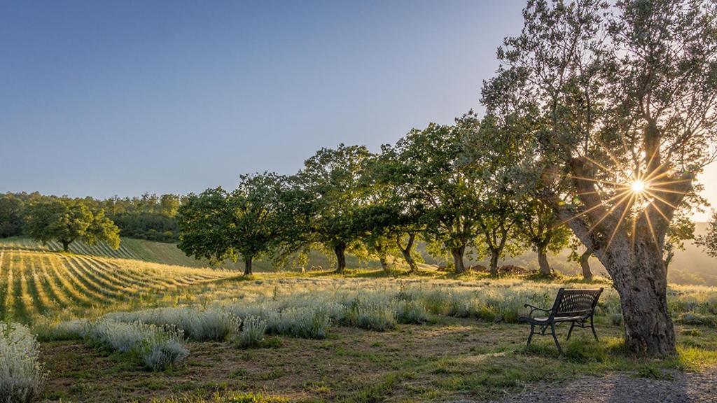 Il Poggio Di Teo Villa Manciano Dış mekan fotoğraf