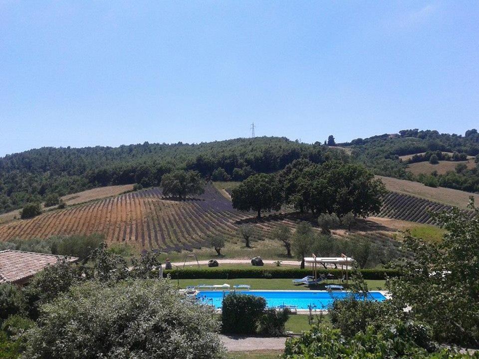 Il Poggio Di Teo Villa Manciano Dış mekan fotoğraf