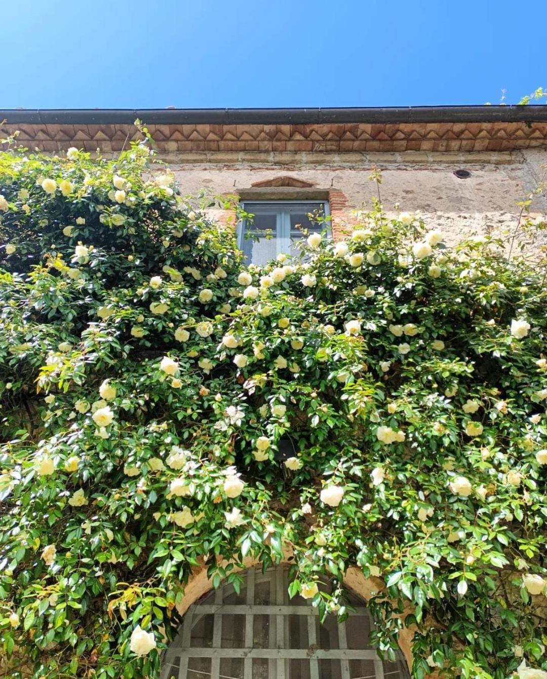 Il Poggio Di Teo Villa Manciano Dış mekan fotoğraf