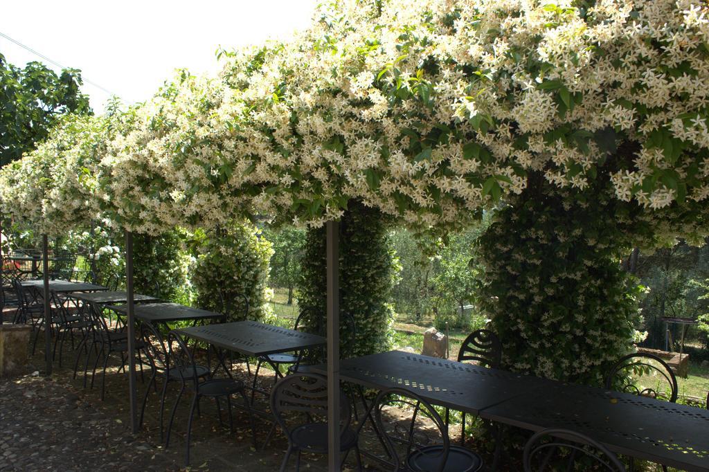 Il Poggio Di Teo Villa Manciano Dış mekan fotoğraf